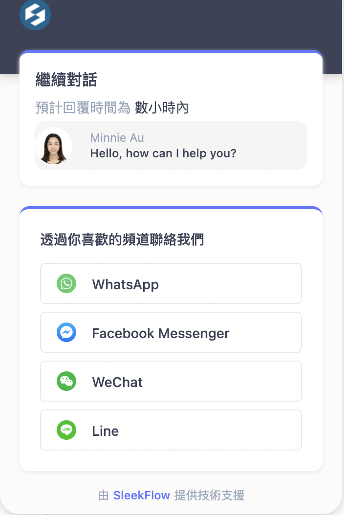 SleekFlow Live Chat 介面