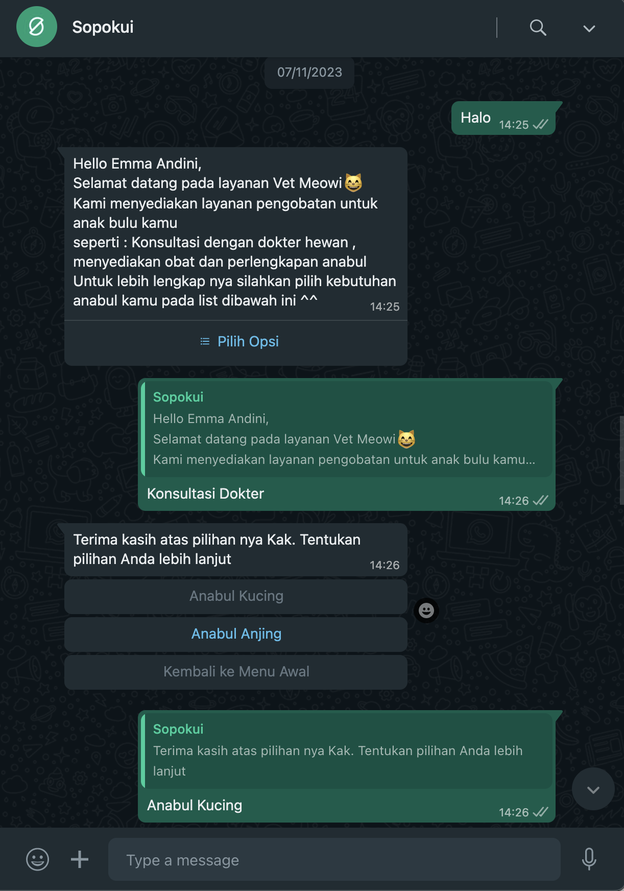 Contoh pengujian skenario bot WhatsApp anda