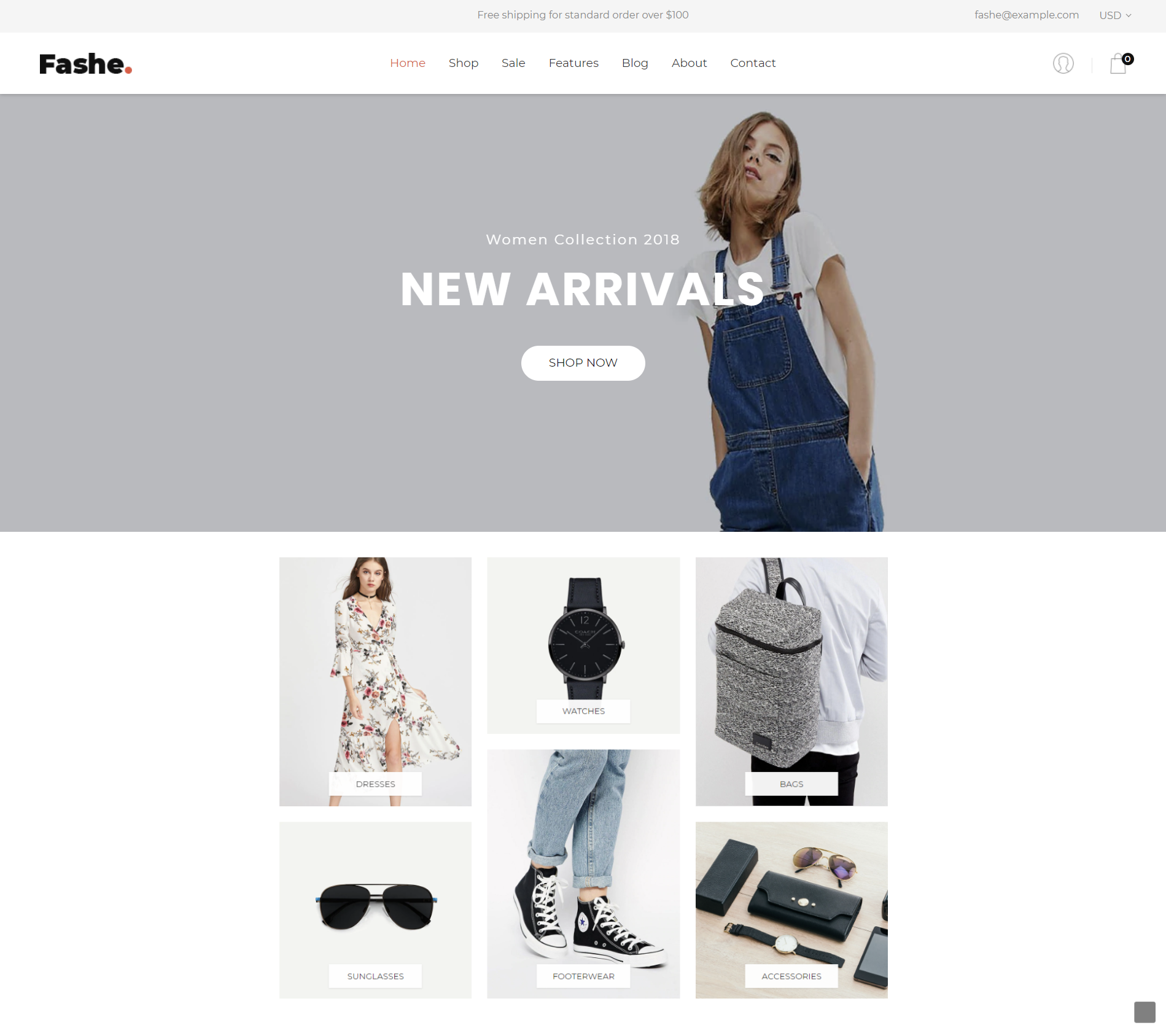 Shopify theme fashe