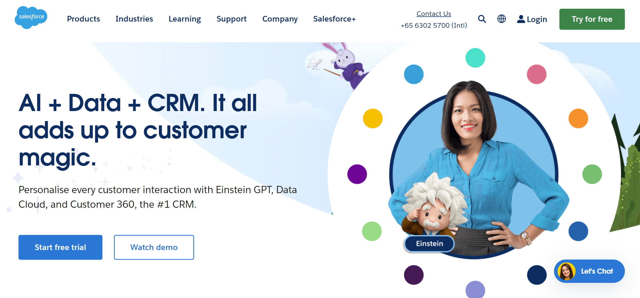 Salesforce Website